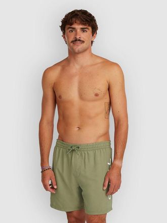 O'Neill Logo 16 Boardshorts groen