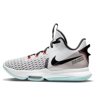 Nike LeBron Witness 5 Pure Platinum Light Dew CQ9380-006
