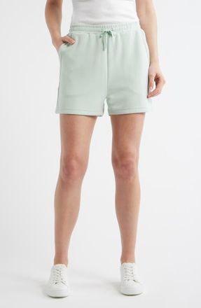 Bernardo Knit Shorts in Green at Nordstrom, Size X-Small