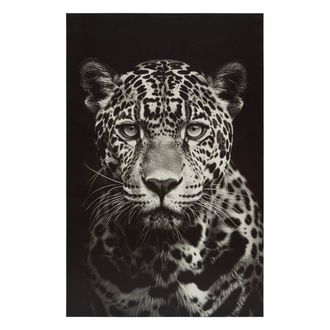 Atmosphera Lienzo Enmarcado Animales 75x115cm - Atmosphera Cr&eacute;ateur DInt&eacute;rieur
