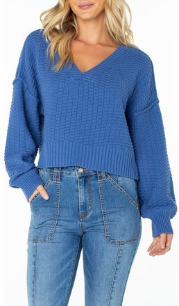 Roxy Study Hall V-Neck Cotton Blend Sweater in Dutch Blue at Nordstrom, Size Xx-Large