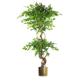 Leaf 150cm Twisted Trunk Artificial Japanese Fruticosa Ficus Tree Gold Planter in Green
