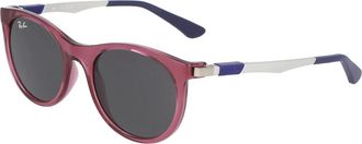 Ray-Ban unisex, Accessoires, Bruin, Maat: 47 MM