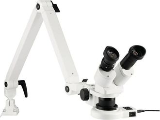 Eschenbach Porzellan Group 33263 33263 Microscopio stereoscopico Binoculare 20 x Luce riflessa