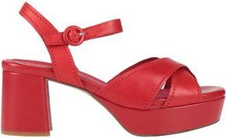 Elvio Zanon CALZATURE - Sandali su YOOX.COM