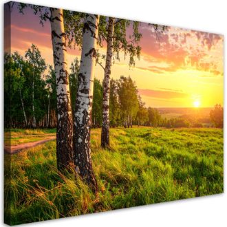 Feeby Impresi&oacute;n De Imagen, Abedules &Aacute;rboles Puesta De Sol, 120x80