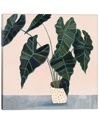 iCanvas Icanvas Artwork By Victoria Borges