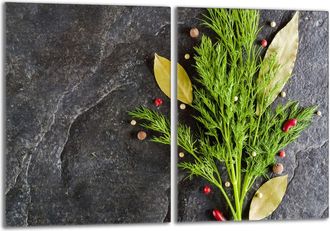 OEM Placa Protectora De Vidrio Para La Estufa 2x40x52 Koper