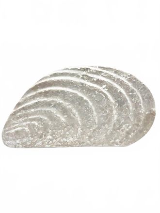 Aran&aacute;z Womens Mussel Clutch In Pearl