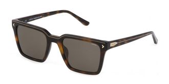 Lozza SL4304 09AJ Mens Sunglasses Tortoiseshell Size 53