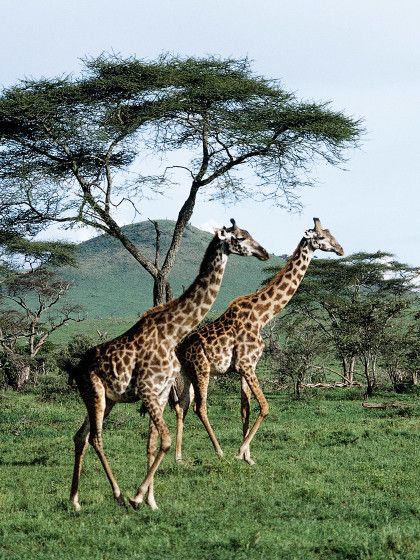 How Many Of These Epic Destinations Have You Checked Off Your Bucket List?