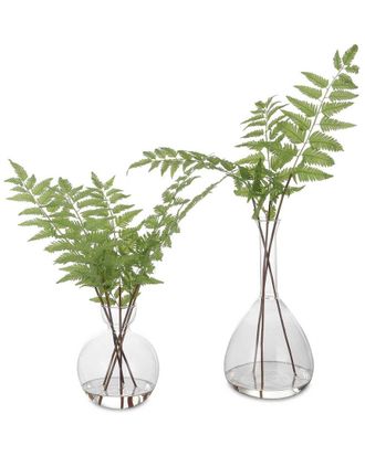 Uttermost Set Of 2 Country Ferns