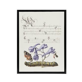 Artery8 Butterfly Caterpillar & Flower Calligraphy Framed Canvas Wall Art in White | Size: W24 x H32