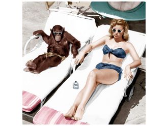 Schubiger M&ouml;bel Digitaldruck auf Glas Badenixe mit Schimpanse