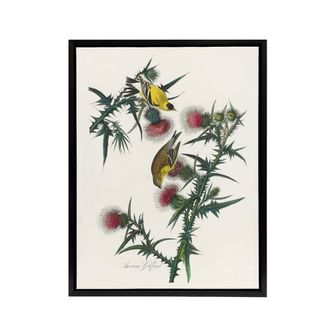Artery8 American Goldfinch & Thistle Audubon Nature Framed Canvas Wall Art in White | Size: W24 x H32