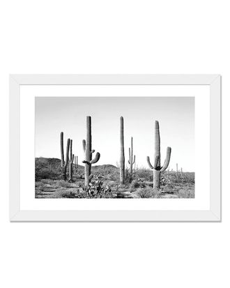 iCanvas Icanvas Gray Cactus Land Art Print By Sisi & Seb