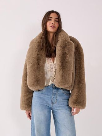 NASTY GAL Cropped Collar Faux Fur Jacket in Mink at Nordstrom, Size 8