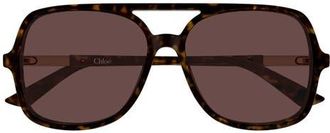 Chlo&eacute; 57mm Navigator Sunglasses in Shiny Dark Havana at Nordstrom