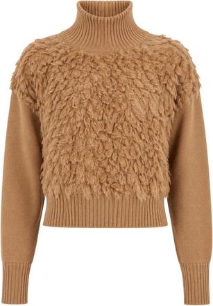 Max Mara Truien & Vesten, Dames, Bruin, S, Goccia Turtleneck