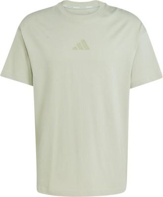 ADIDAS TERREX MT MP Tee Funktionsshirt f&uuml;r Herren | beige