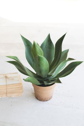 Kalalou Artificial Agave In A Faux Terracotta Pot
