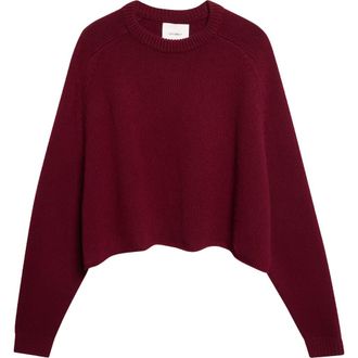 Lisa Yang Karine Oversize Raglan Sleeve Cashmere Sweater in Deep Plum at Nordstrom, Size 0