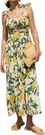 Dress Forum Vintage Lemonade Maxi Dress In Floral