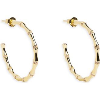 Argento Vivo Bamboo Hoop Earrings in Gold at Nordstrom