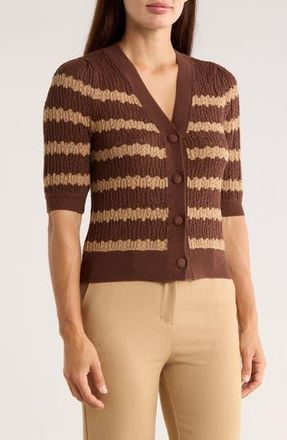 Ellen Tracy Stripe Short Sleeve Pointelle Cardigan in Brown at Nordstrom Rack, Size X-Small