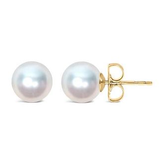 House of Brilliance 14K Gold 4.0-4.5MM Cultured Freshwater Pearl Solitaire Stud Earrings in Yellow at Nordstrom