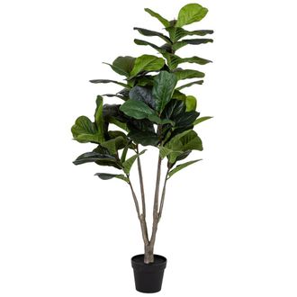 Wanderlust Deco Ficus Liata Verde Decorativa Artificial Con 66 Hojas Verde 89x89x150