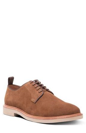 Gordon Rush Cooper Derby in Tan Suede at Nordstrom Rack, Size 10.5