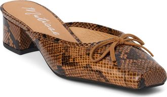 Matisse Footwear Basilio Mule in Brown Snk Leather at Nordstrom, Size 10