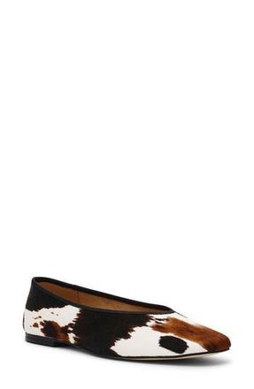 Steve Madden Pipa Ballet Flat in Cow Print Calf Hair at Nordstrom Rack, Size 6.5
