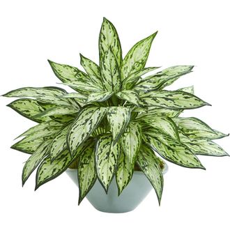Nearly Natural Silver Queen Artificial Plant in Green Vase at Nordstrom