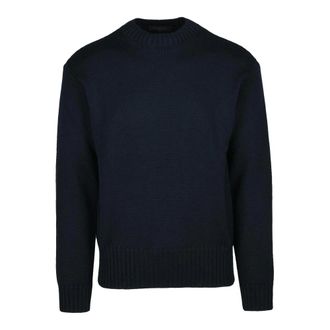 Daniele Fiesoli Truien & Vesten, Heren, Blauw, L, Wol, Maglia