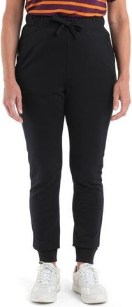 Icebreaker Crush II Joggers in Black at Nordstrom, Size X-Large