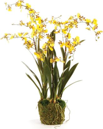 Napa Home & Garden Dancing Orchid Faux (Fake) Drop-In 32 in Yellow at Nordstrom