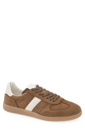 Tom Ford Terence Sneaker in Erb Olive Brown at Nordstrom, Size 12Us
