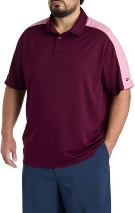 Reebok Big & Tall Colorblocked Polo Shirt in Black Cherry at Nordstrom, Size Xx-Large