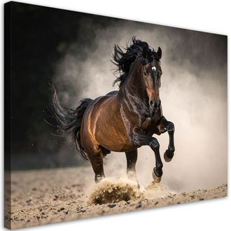 Feeby Impresi&oacute;n De Imagen, Caballo Marr&oacute;n Galopando Sobre La Arena, 100x70