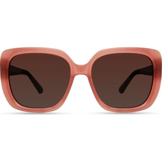 Derek Lam River Sunglasses in Blush at Nordstrom