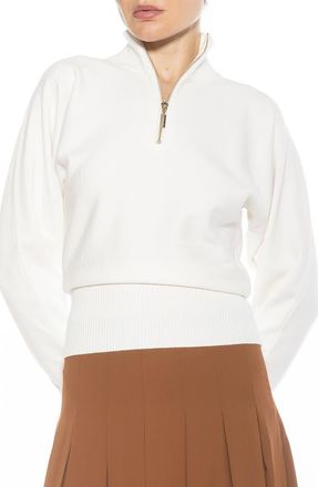 Alexia Admor Niko Quarter Zip Sweater in Ivory at Nordstrom Rack, Size X-Small