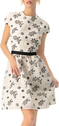 Ivonne Floral Embroidered Short A-Line Dress in Natural at Nordstrom, Size 10