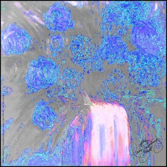 Rosemary Goodenough Mad Red Flowers VI Silk Scarf