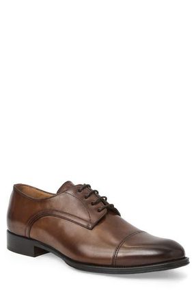 Bruno Magli Borgo Cap Toe Derby in Brown Calf at Nordstrom, Size 11.5