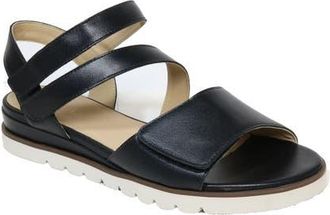 David Tate Theo Ankle Strap Sandal in Black at Nordstrom, Size 10