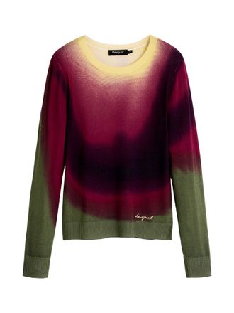 Desigual trui