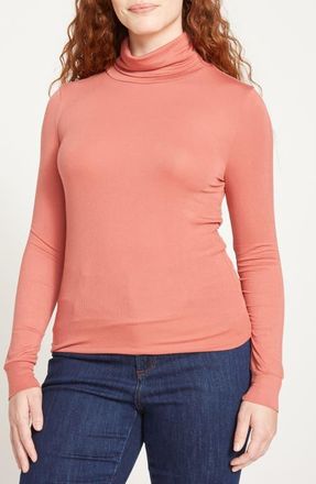 Universal Standard Foundation Turtleneck in Terracotta Red at Nordstrom, Size Xs
