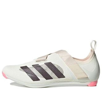 adidas Indoor Cycling Off White Shadow Maroon GX1669